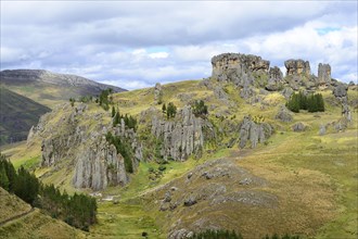 Rock formations in the Stone Forest