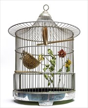 Faded flower in a bird cage