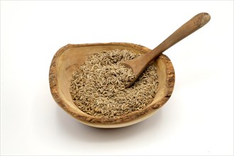 Cumin seeds in a wooden rustic bowl with a wooden spoon against a white background