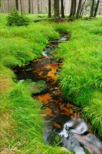 Small brook flows through high moor