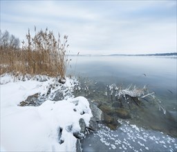 Winter at the lake