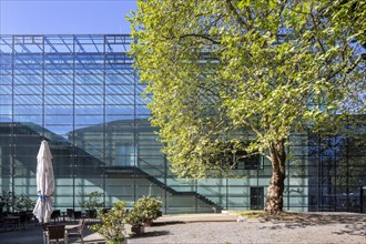 Emil Schumacher Museum