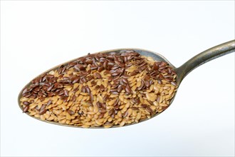 Yellow and brown linseed in spoon