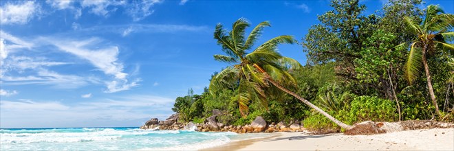Anse Georgette beach holiday vacation island palm panorama paradise sea water on Praslin