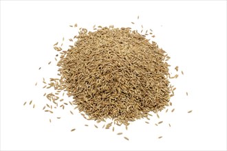 A pile of cumin seeds against a white background