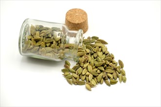 Cardamom pods spilling out of a 150ml glass spice jar against a white background