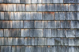 Old wooden shingles