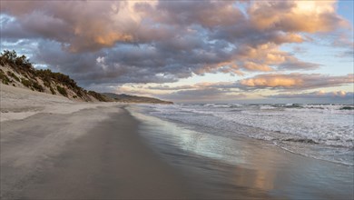 Sandy beach beach at sunset