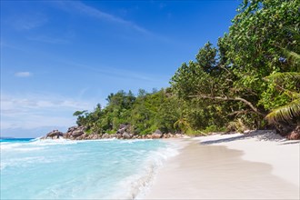 Anse Georgette beach holiday Praslin island sea