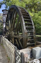 Mill wheel at kurhaus
