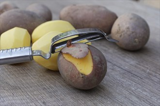 Potato peeler with potatos Laura