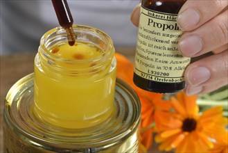 Production Yarrow and marigold ointment