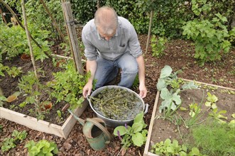 Man produces herbal muck