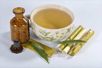 Willow bark tea