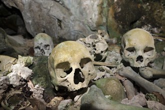 Ancient skulls in the Rock Islands near Malwawa