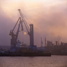 Container terminal in fog