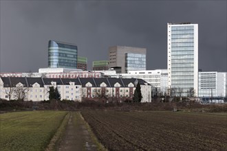Skyline Duesseldorfer Medienhafen