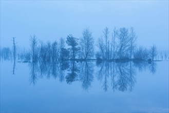 Moor at the blue hour