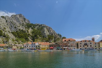 Omis