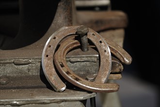 Rusty horseshoe on anvil