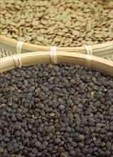 French lentils called Puy lentils and St. flour lentils