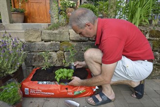 Planting bag with potting soil
