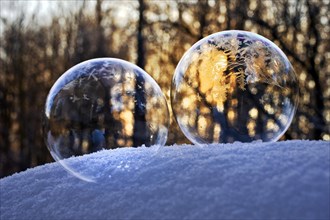 Freezing soap bubbles with ice crystals on snow in backlight