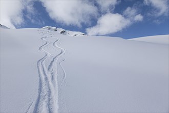 Two lonely ski tracks in front of a blue sky