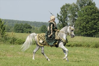 Rider with historical dress on Arabian thoroughbred