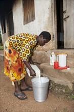 Woman filtering fresh milk to make sure it is clean