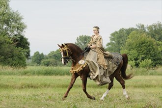 Rider with historical dress on trotting Arabian Thoroughbred stallion