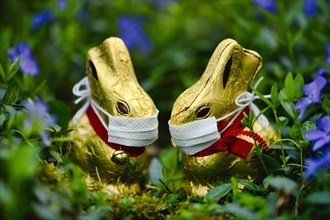 Two chocolate Easter bunnies with mouth guards