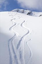 Two lonely ski tracks in front of a blue sky