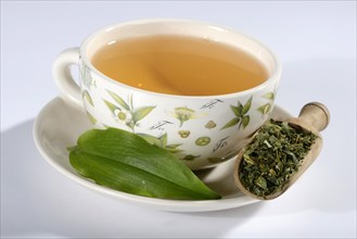 Cup of wild garlic tea