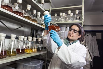 Scientist examining samples in the fungus room at the Institute of Pharmaceutical Biology and Biotechnology at Heinrich Heine University Duesseldorf