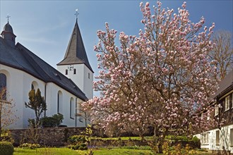 Parish Church of the Assumption of the Virgin Mary in spring