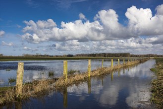 Boller Moor