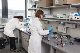 Scientists in the poison room or laboratory with ethidium bromide during a DNA gel electrophoresis for the detection of nucleic acids in the Faculty of Biology at the University of Duisburg-Essen