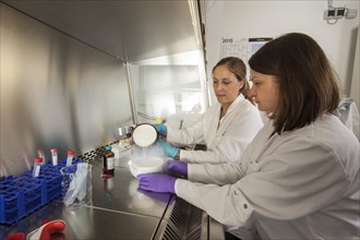 Female scientists of the biology department during RNA isolation and genetic engineering in the laboratories of the University of Duisburg-Essen