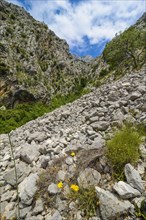 Biokovo National Park