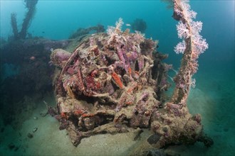 Star engine of the Dauntless Dive Bomber aircraft wreck