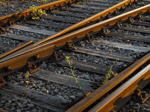 Old railway tracks