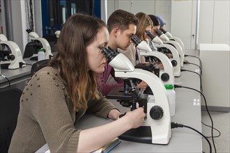 Students at the microscopy course in the Faculty of Biology at the University of Duisburg-Essen