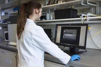 Research assistant evaluating DNA tests at the Faculty of Biology at the University of Duisburg-Essen during research work