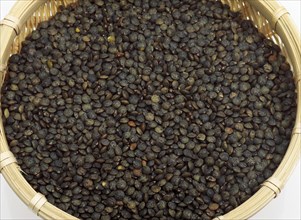 French green Puy lentils