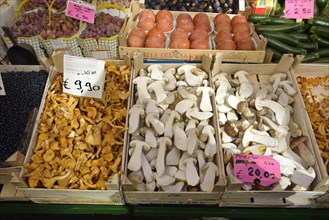 Market stall with mushrooms