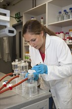 Scientist of biology at a laboratory filter unit in the genetic engineering section of the laboratories of the University of Duisburg-Essen