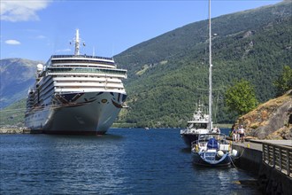 Cruise ship Arcadia in Aurlandsfjords