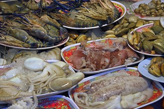 Different kinds of seafood