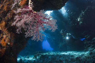 Diver in underwater cave
